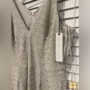 Dress the Population Silver Sequin Gown
